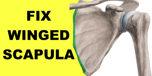 winged scapula Archives - The Pain Free Institute