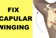 How to Fix Scapular Winging (Advanced Exercises) — The Pain Free Institute