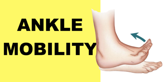 patellar tendonitis exercises stretches jumper's knee